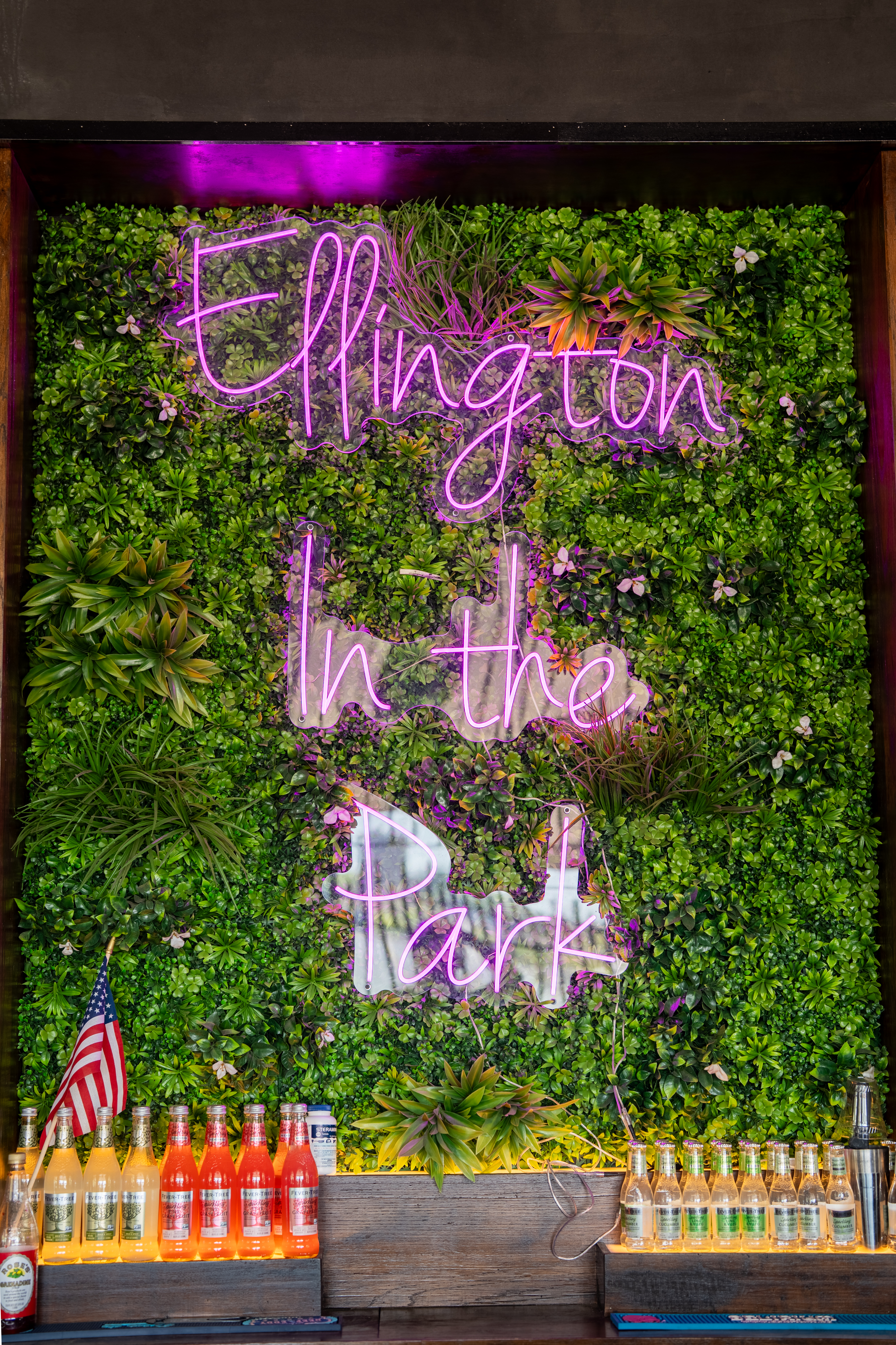 Ellington in the Park opening