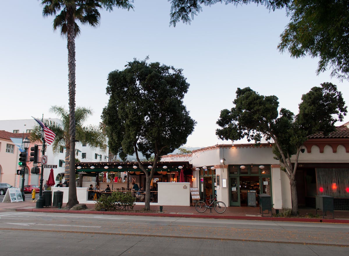 a group of palm trees on a street corner
