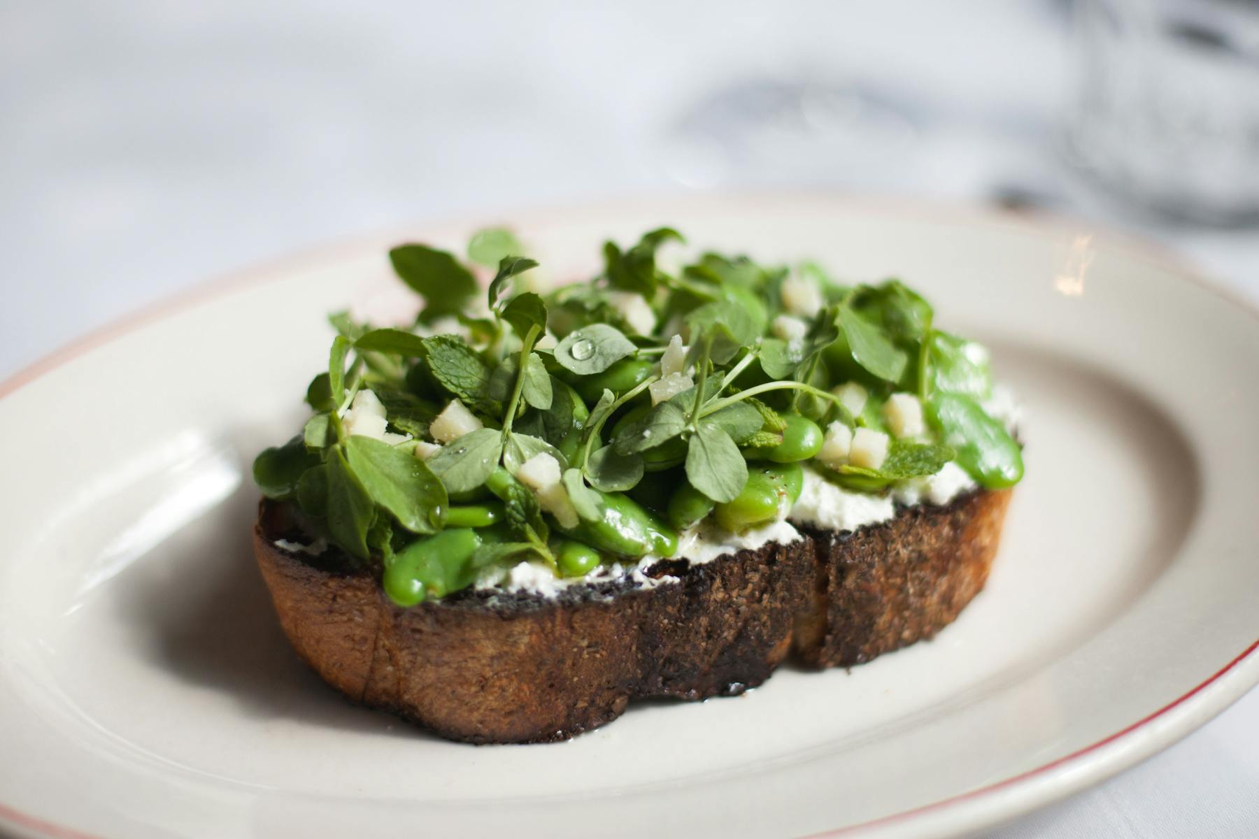 spring crostino at Maialino