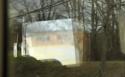 a tree with snow on the ground