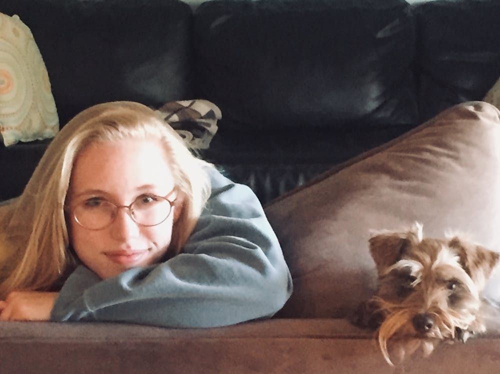 a brown and white dog lying on a sofa