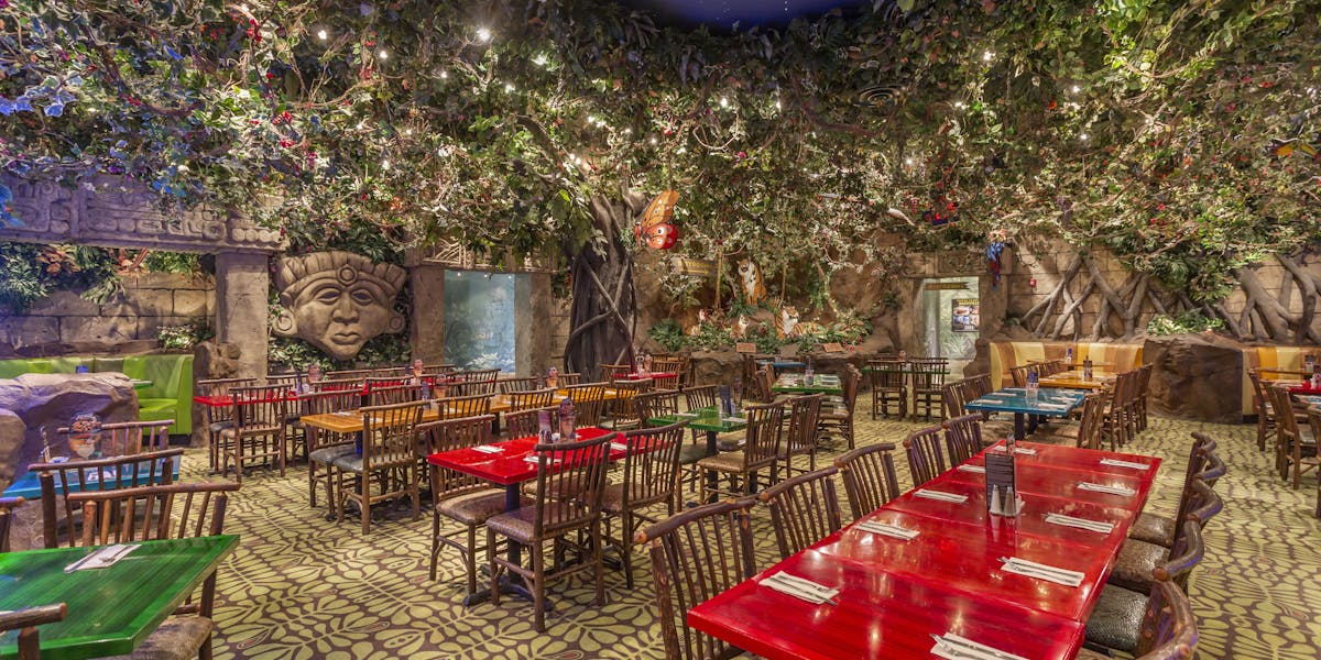 Rainforest cafe store Rainforest cafe store picture
