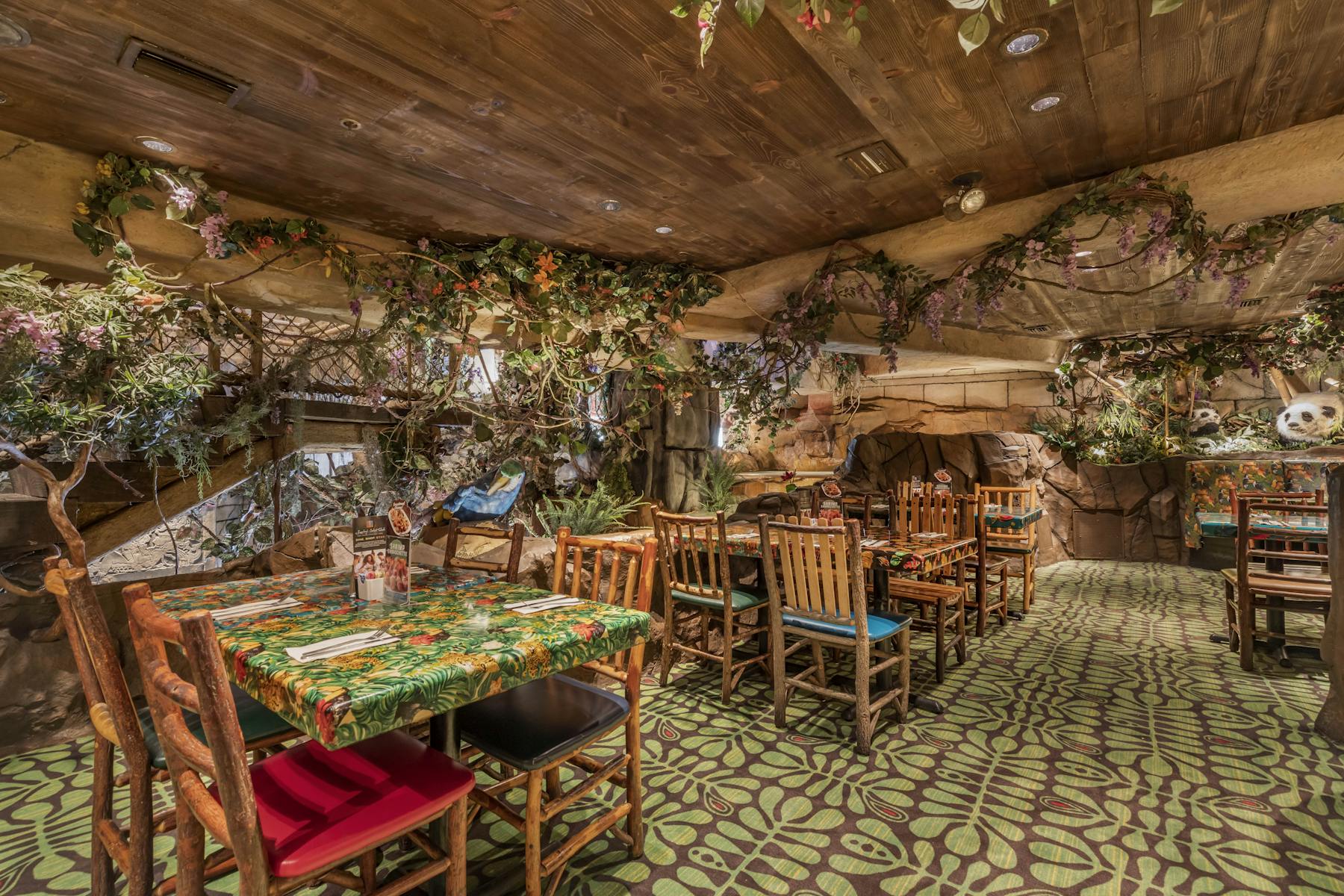 San Antonio Tx Rainforest Cafe Jungle Themed Restaurant Chain Worldwide