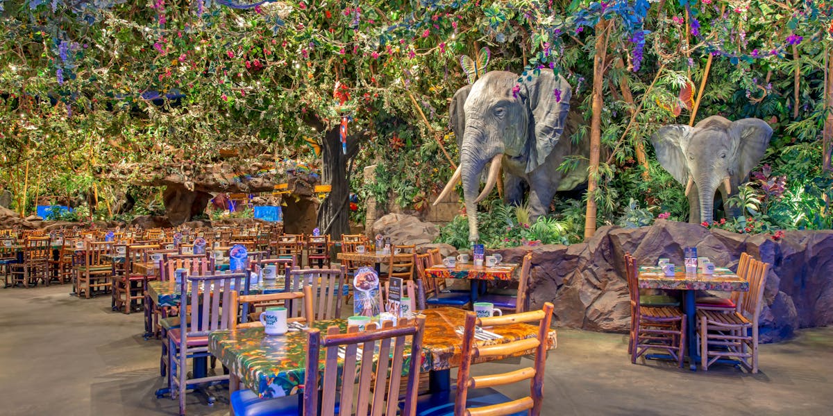 Wdwthemeparks.com Disney World Animal Kingdom | Hours + Location | Rainforest Cafe