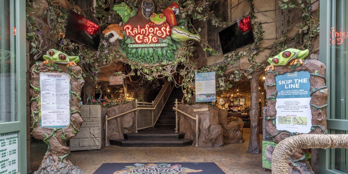 Hours + Location | San Antonio, TX | Rainforest Cafe