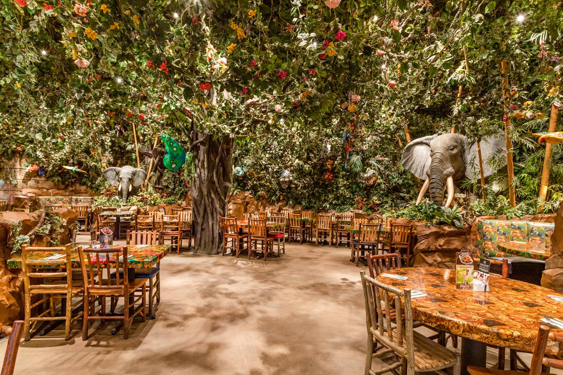 Katy Mills Tx Rainforest Cafe Jungle Themed Restaurant Chain Worldwide