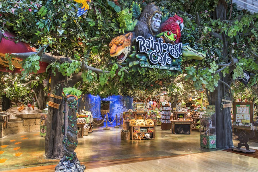 About the Wild Brunch Club® | Rainforest Cafe Worldwide Restaurant