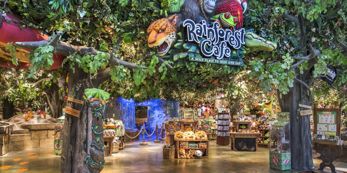 Rainforest cafe inc outline to rainforest Rainforest cafe inc outline to rainforest image