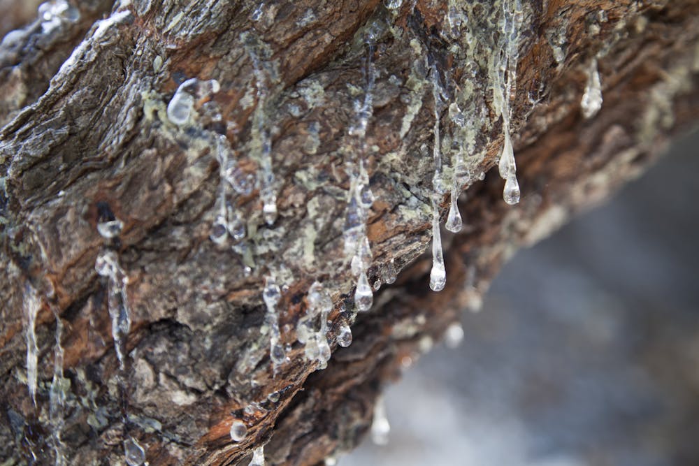 a close up of a rock