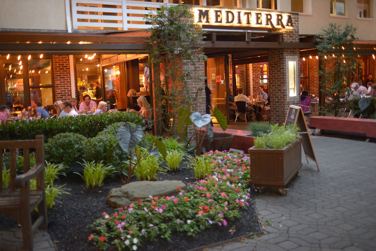 a close up of a flower garden in front of a building