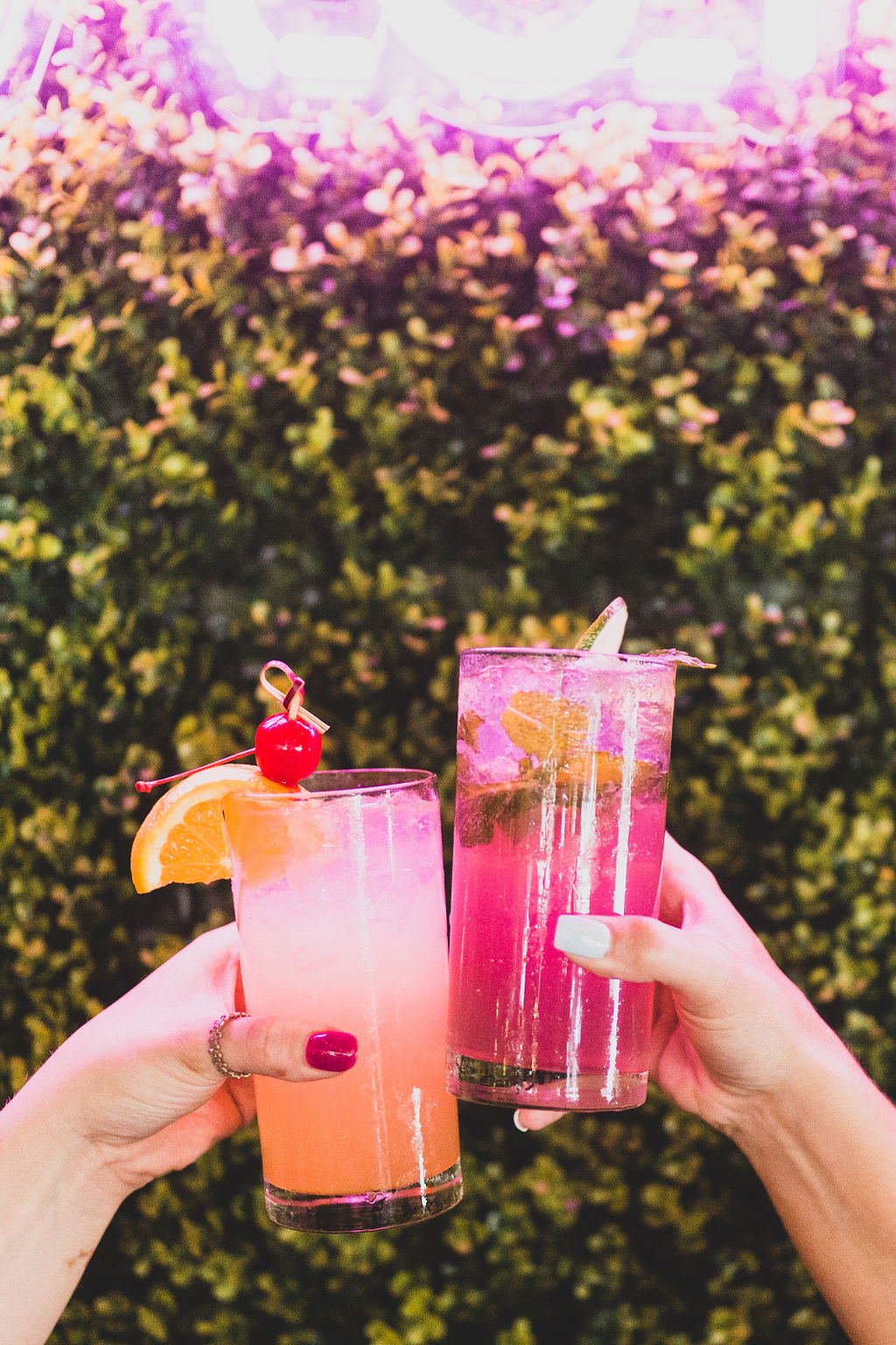 a hand holding a flower