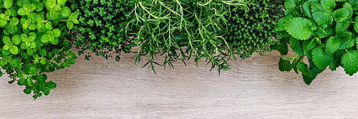 Greek Herbs