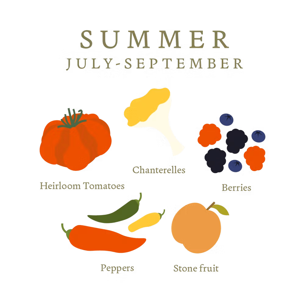 a close up of a book