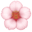 🌸
