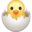 🐣