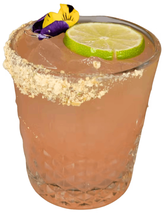 orange tequila cocktail with salt rim and lime on top