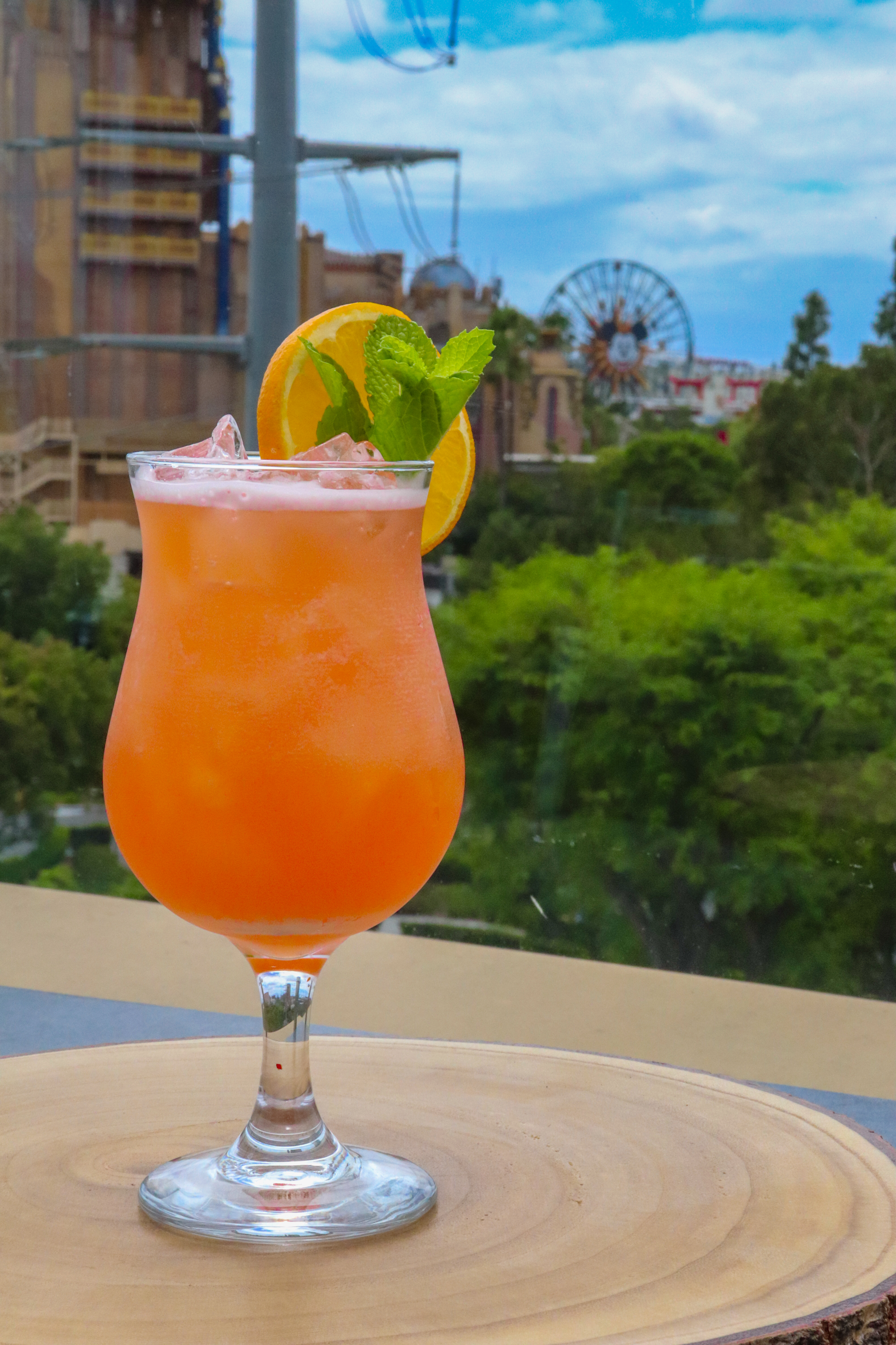 a citrus cocktail with a fruit and leaf garnish