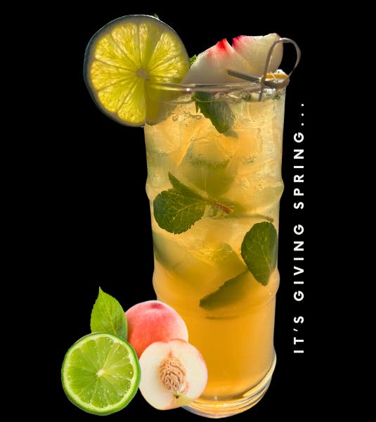 It's Giving Spring... Image: tall cocktail with mint leaves, peach and lime garnish