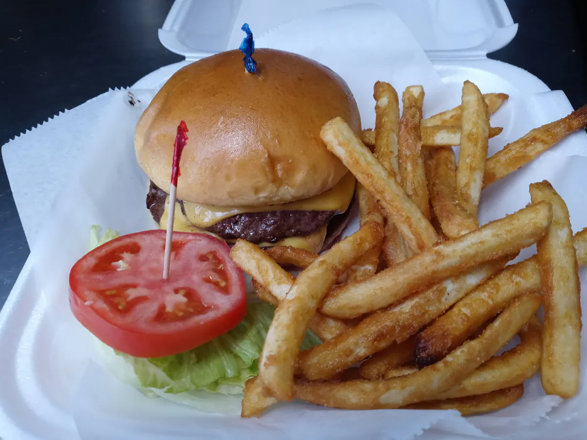 a sandwich sitting on top of a pile of fries