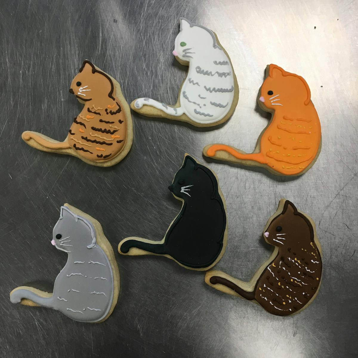 various cats in multiple colors