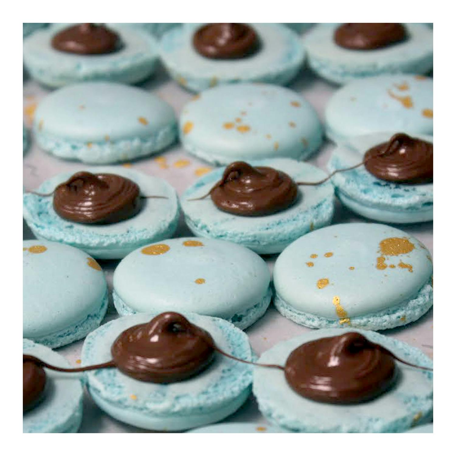 Blue Macaron close up