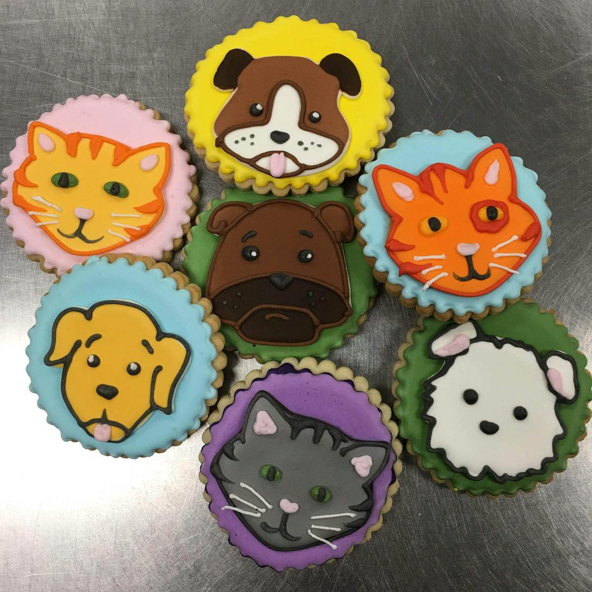 a group of cats and dogs drawn on cookies
