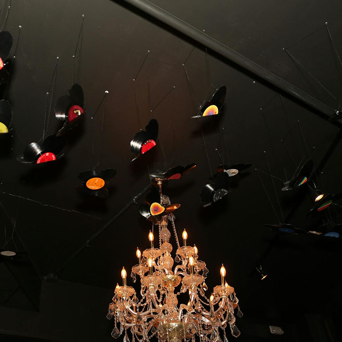 roxxy butterfly ceiling