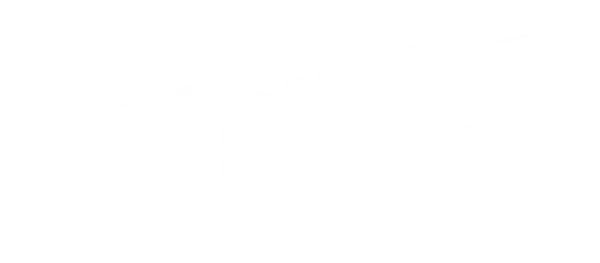 Roxxy Bar logo