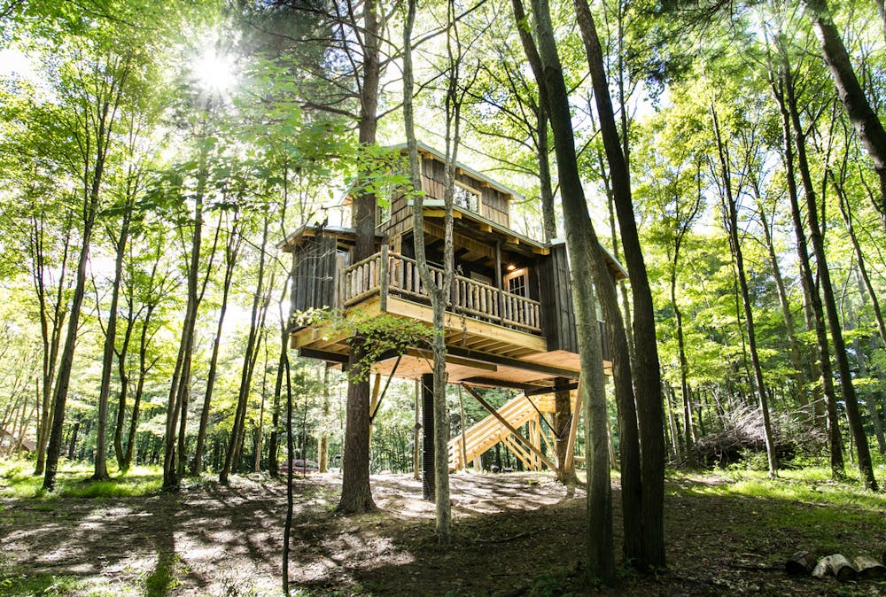 a wooden bench sitting in the middle of a forest