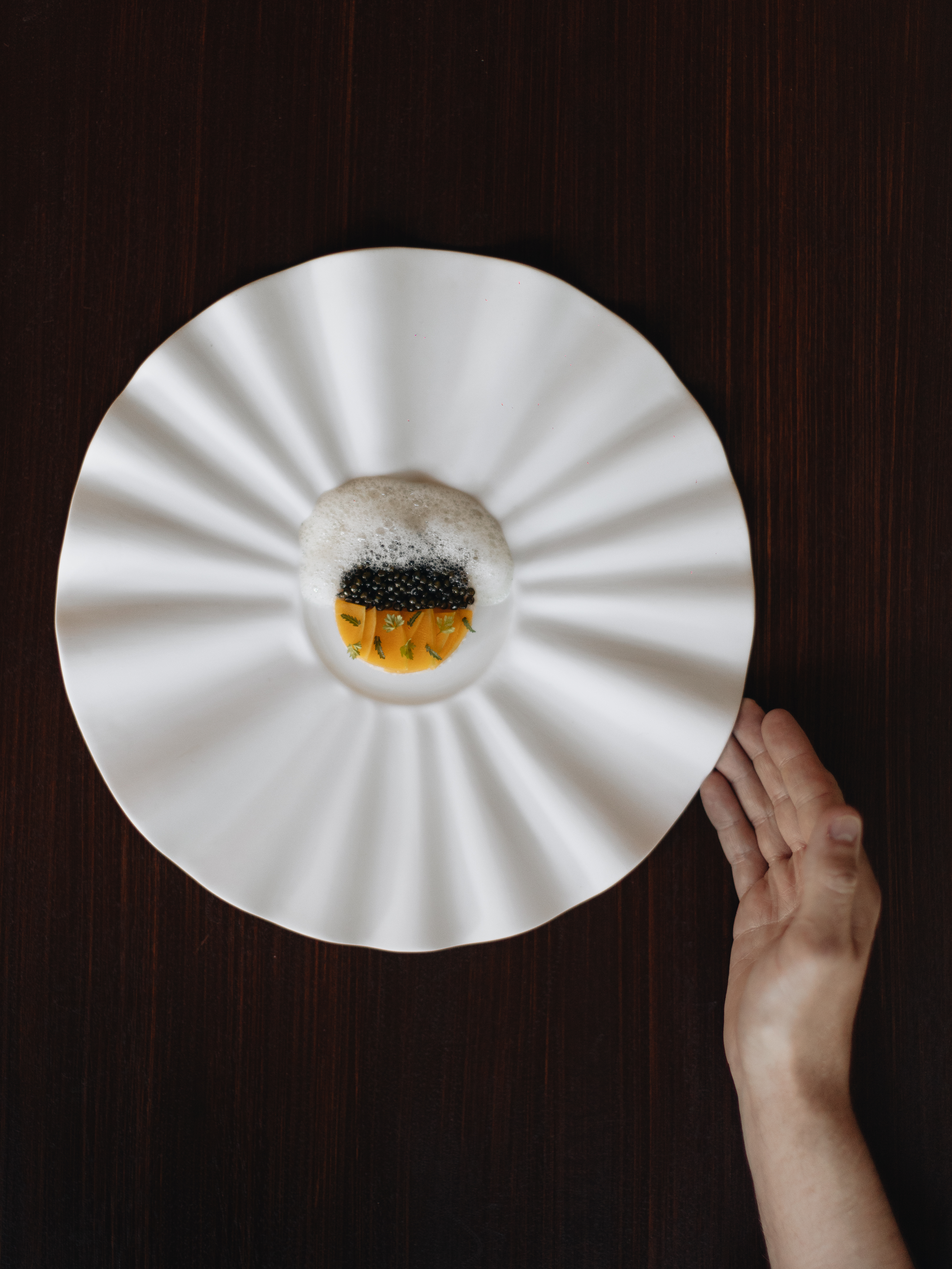 a hand over a plate with food on it