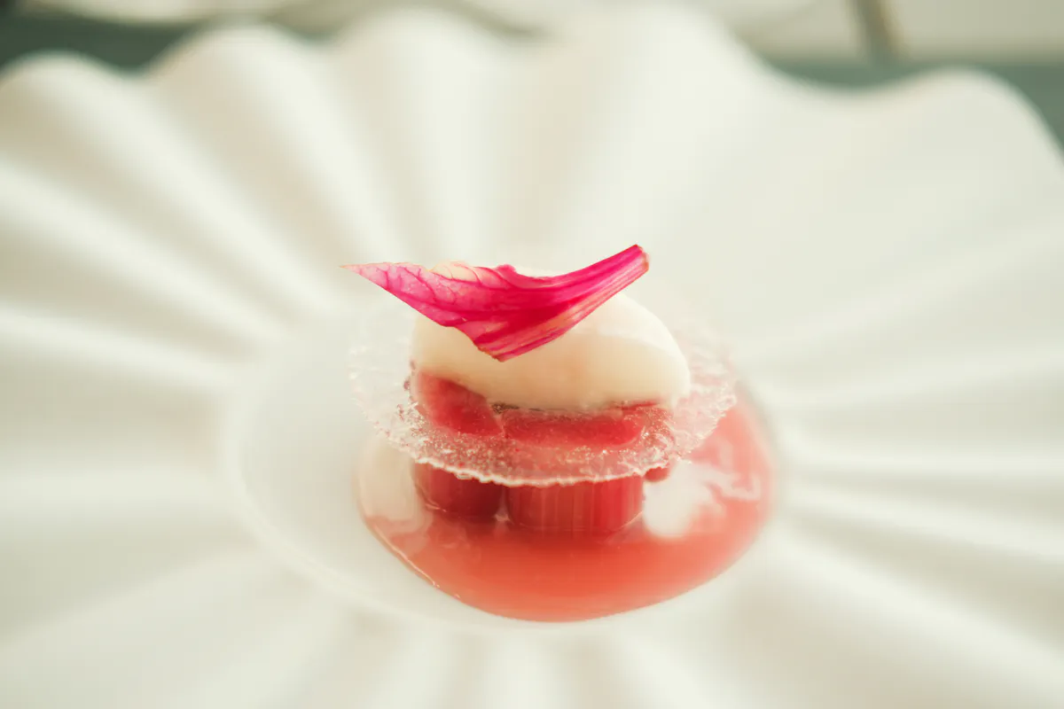 a close up of food