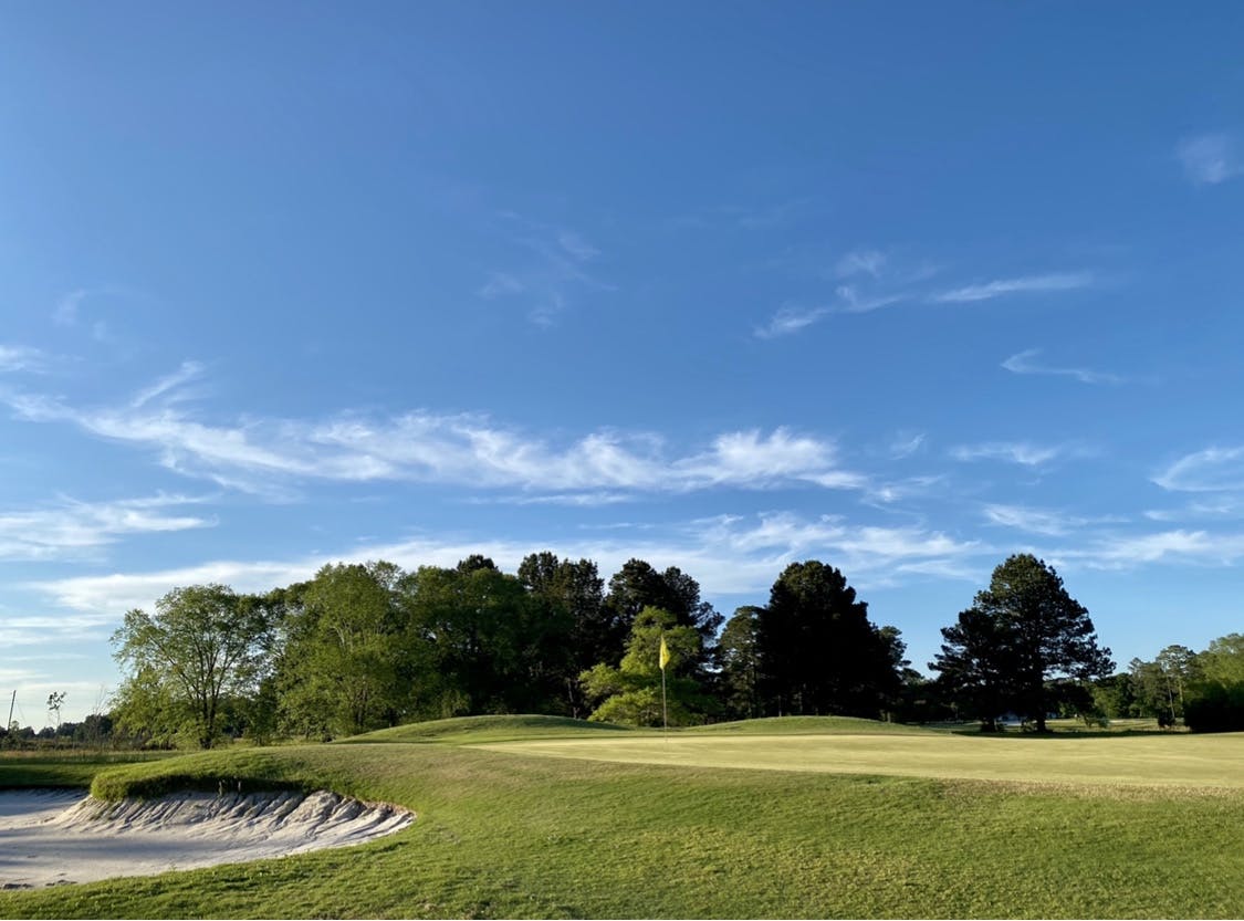 a large green field with trees in the background