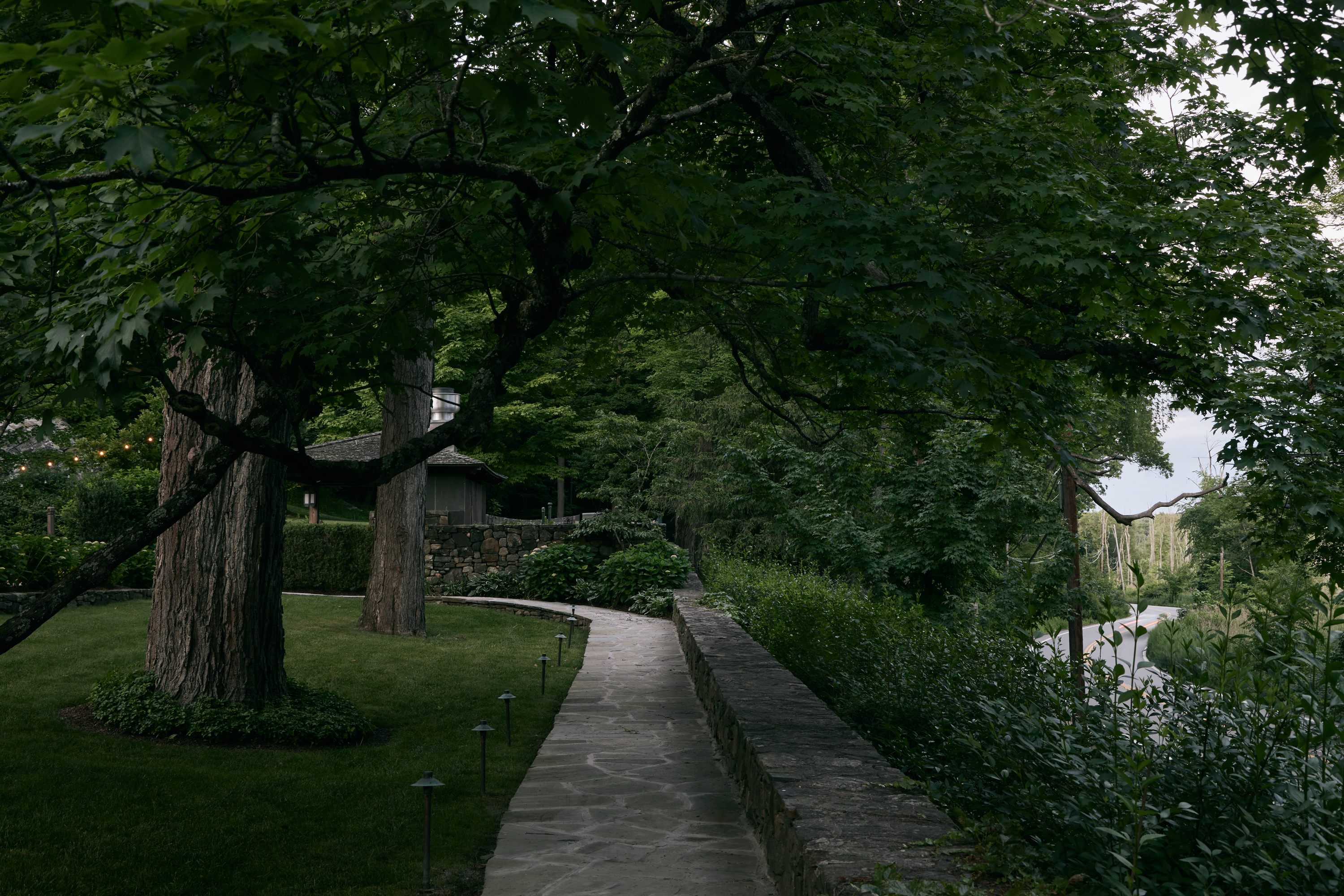 a path with trees on the side of a tree
