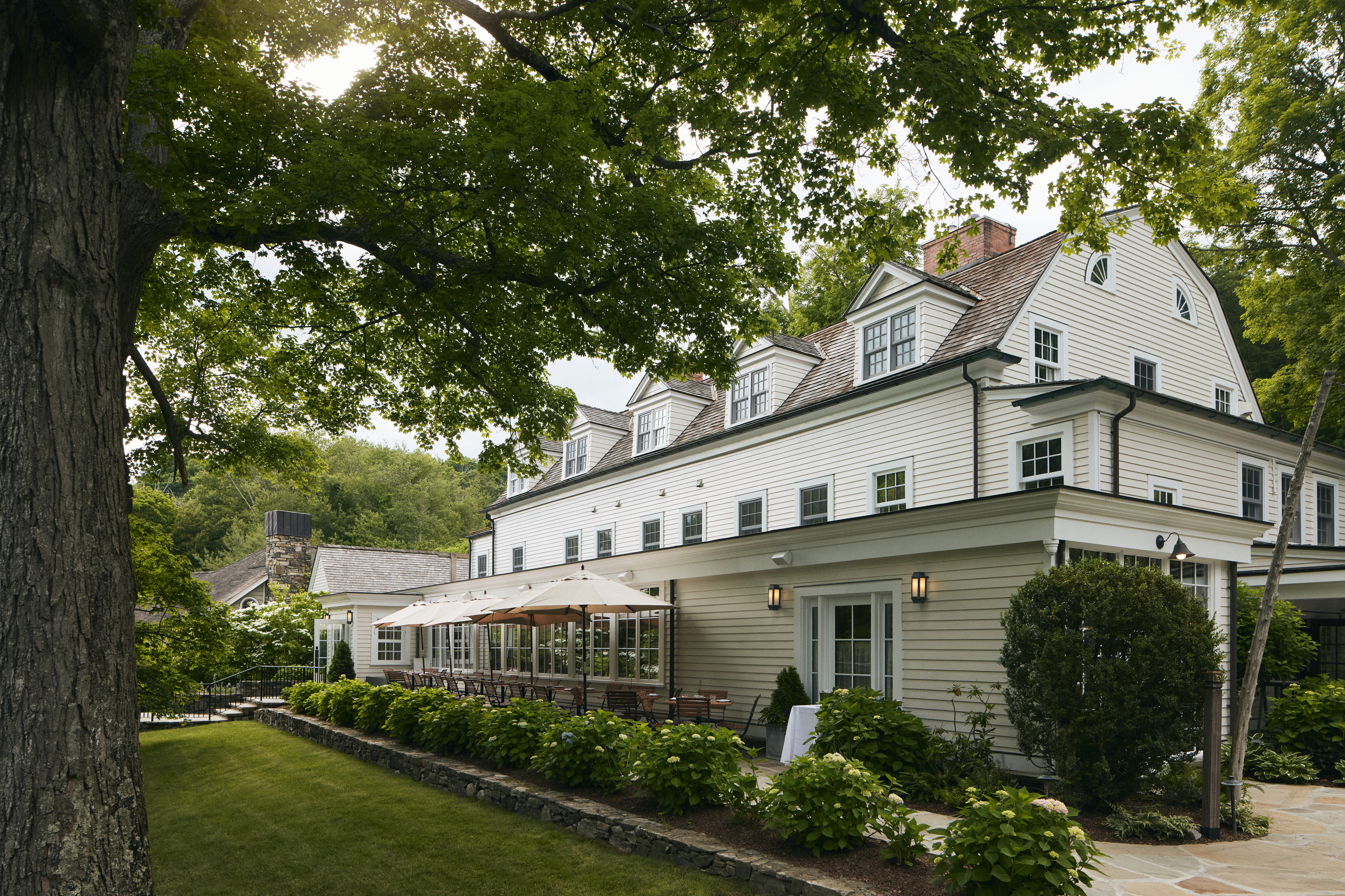 a tree in front of a house