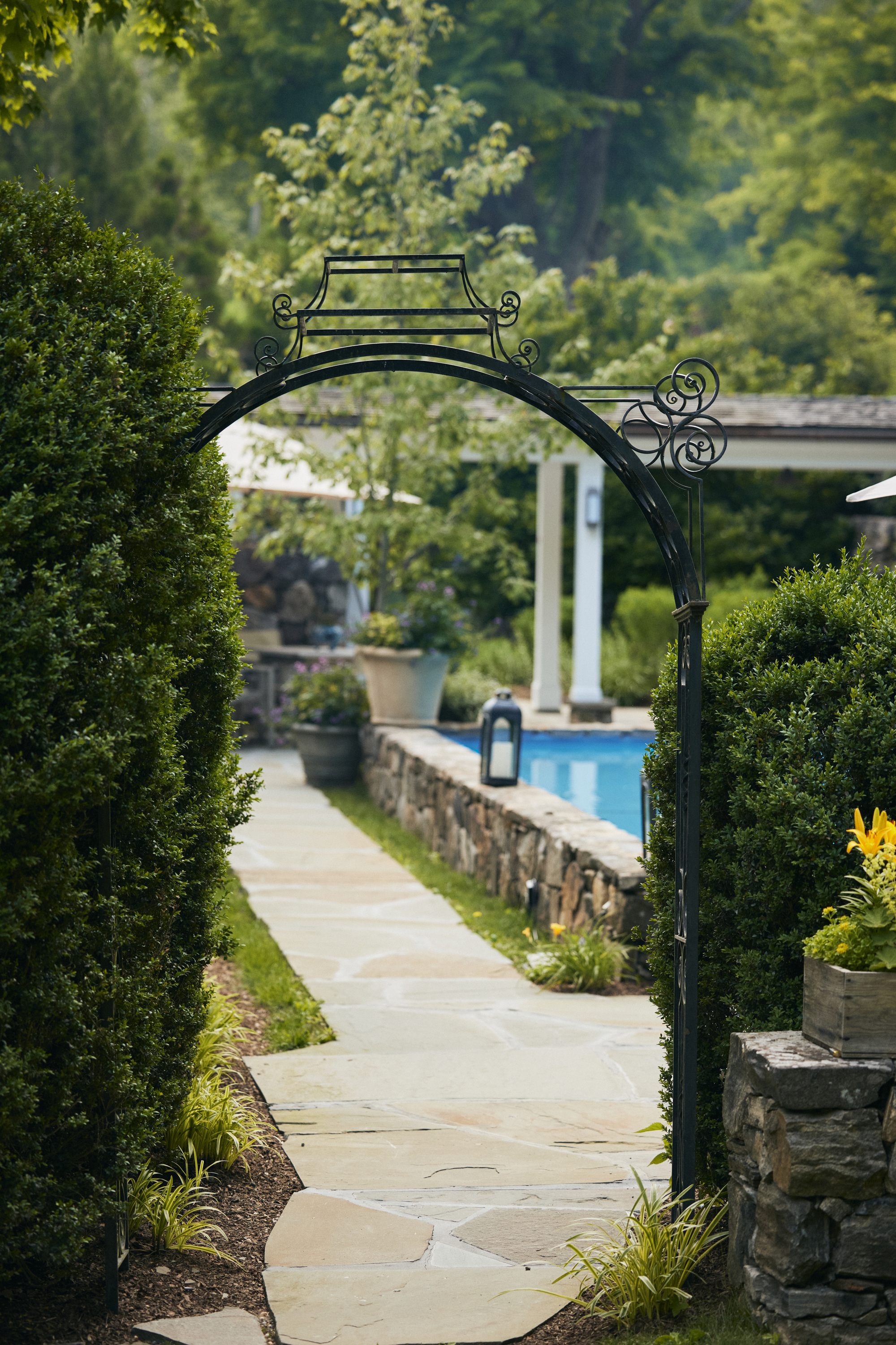 a bridge over a river in a forest