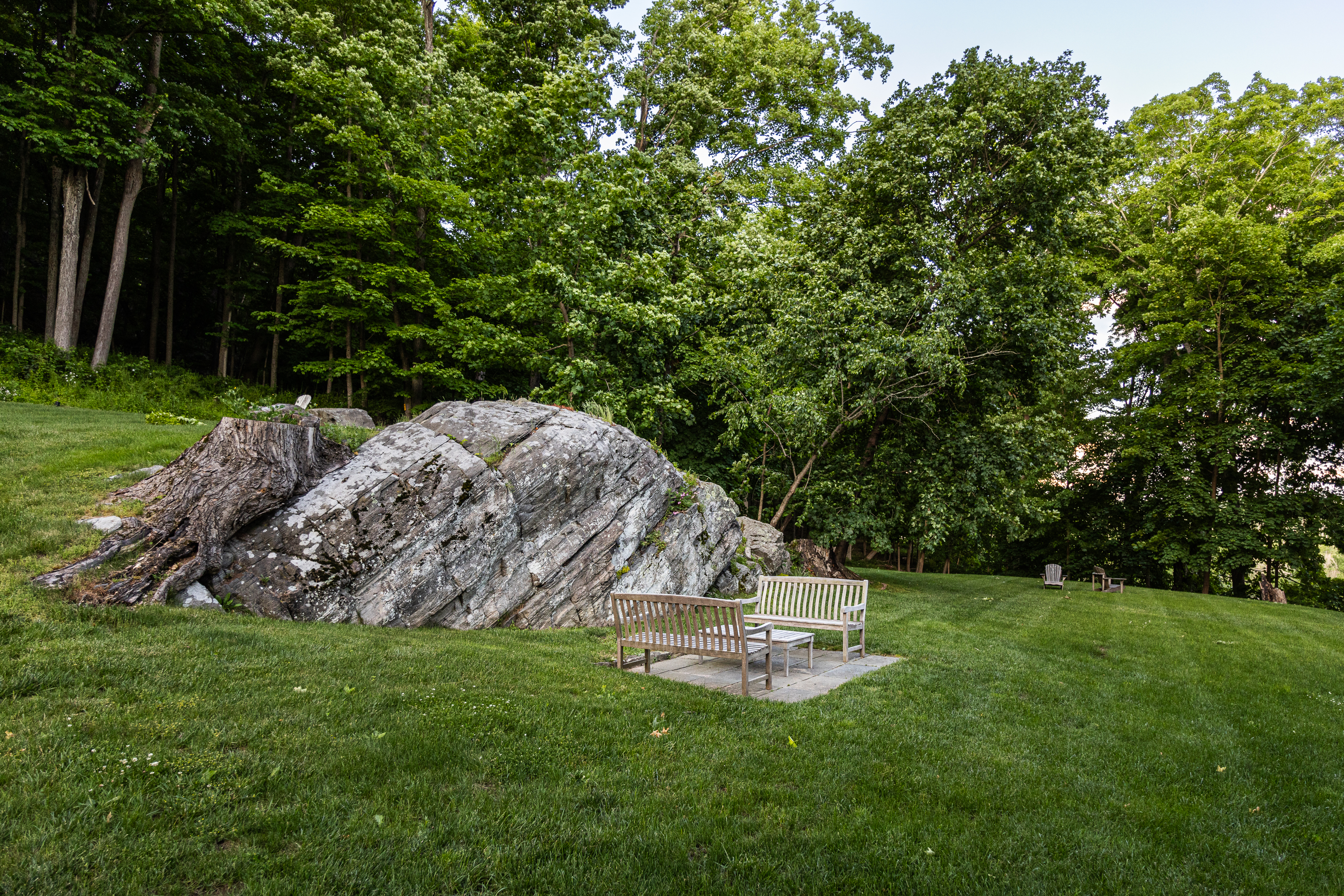 a large green field with trees in the background