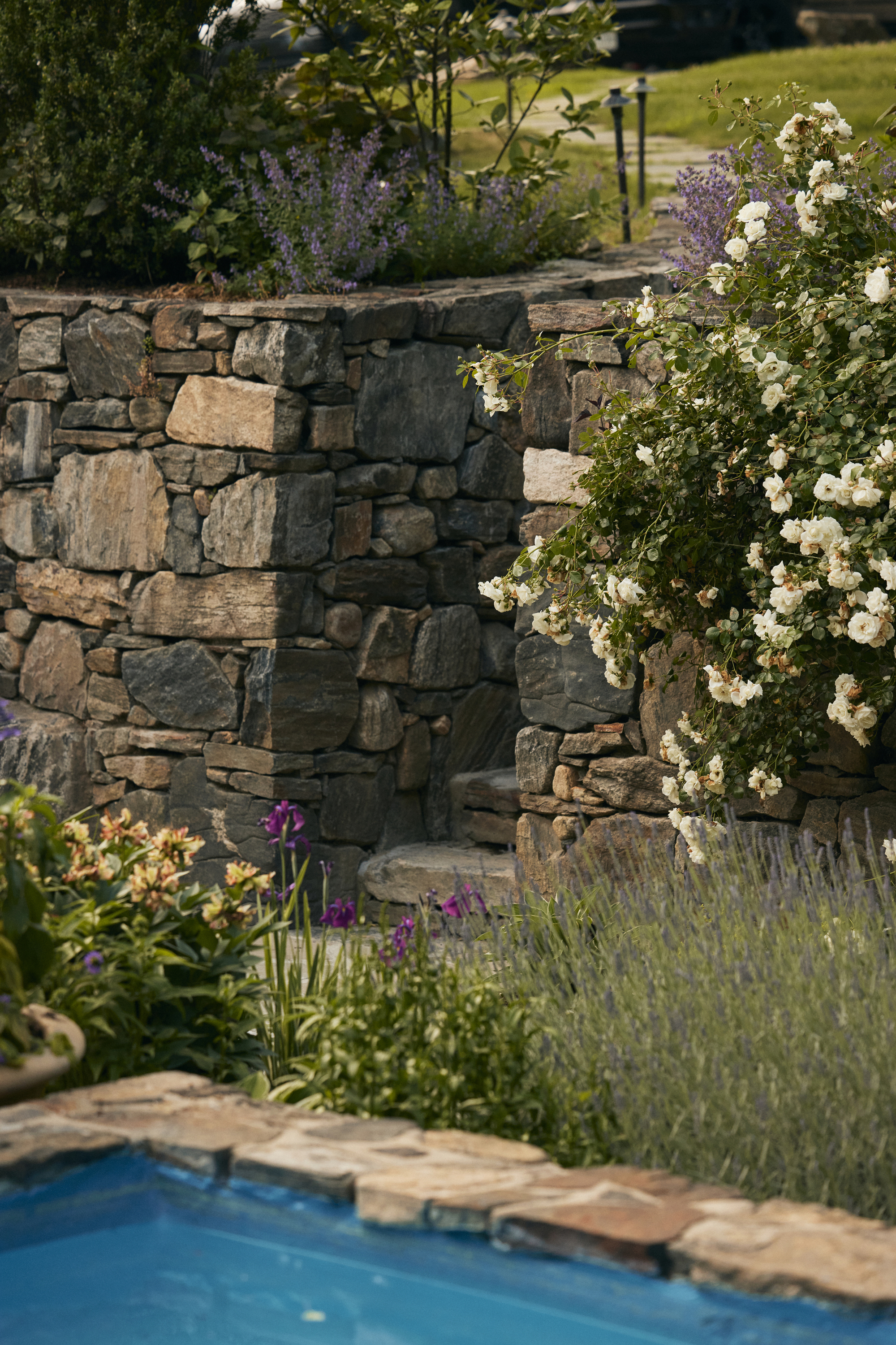 a close up of a flower garden in front of a brick wall