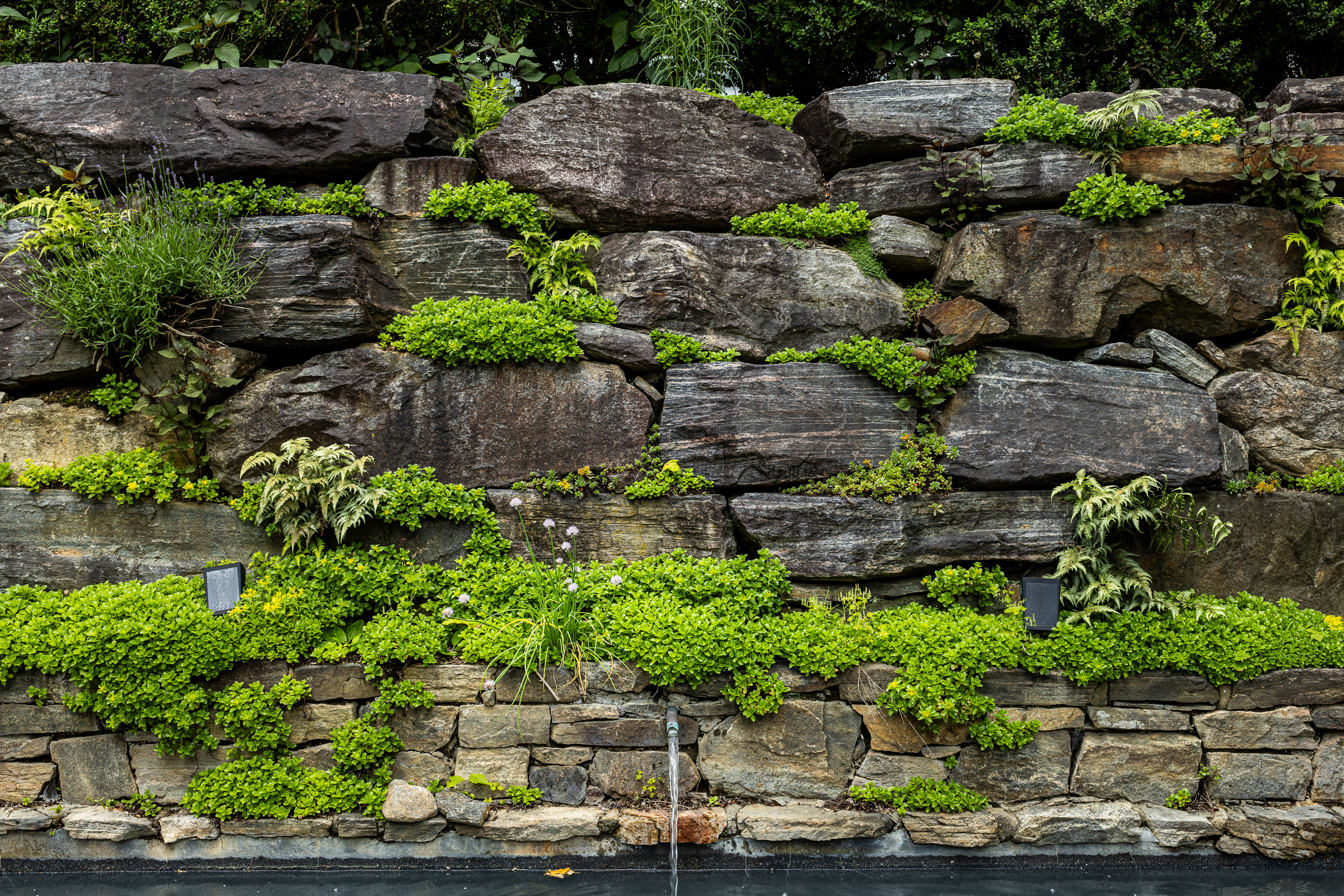 a close up of a rock wall