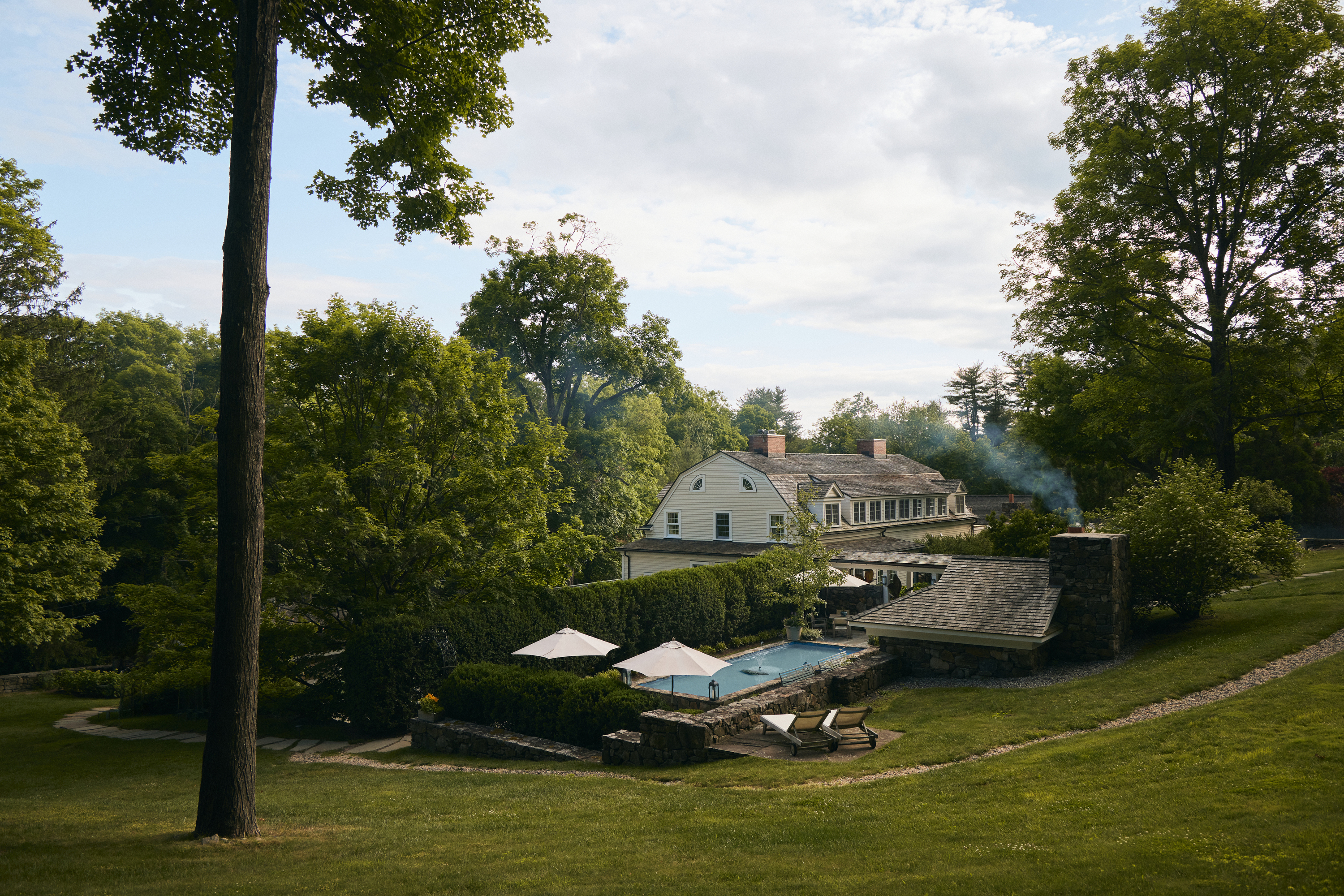 a large lawn in front of a tree