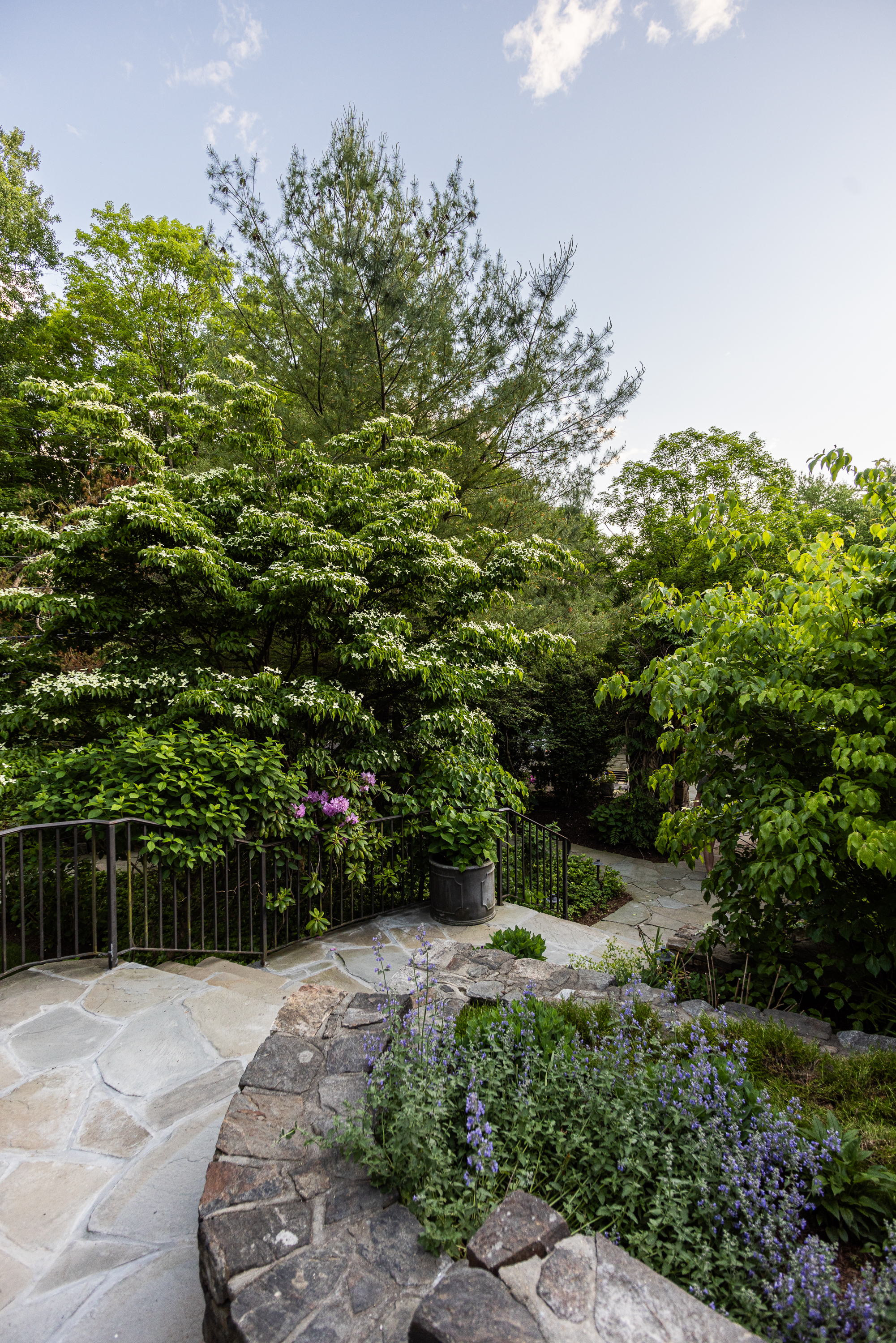 a stone with bushes and trees
