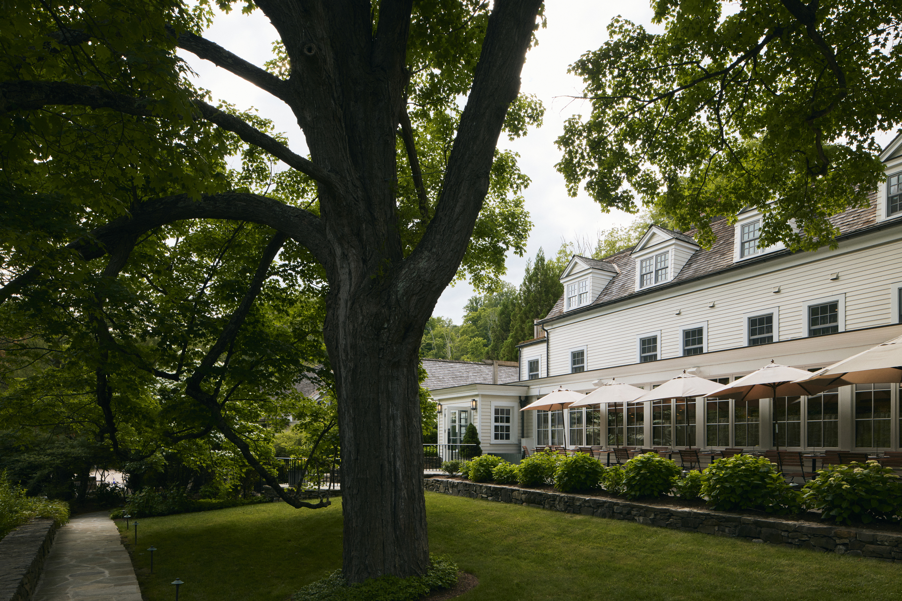 a large tree in front of a house