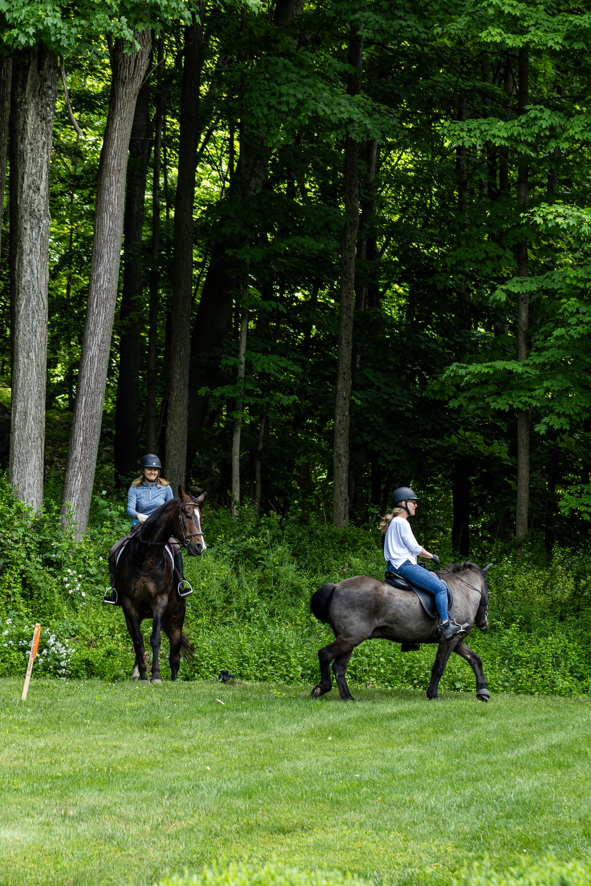 a group of people riding horses on a green field
