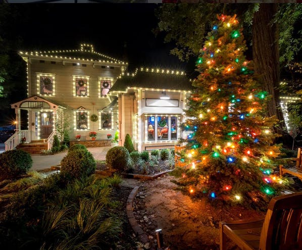 image of perrys larkspur decorated with holiday lights