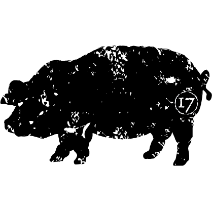 graphical user interface, application