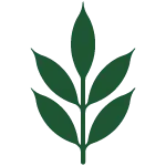 a close up of a flower