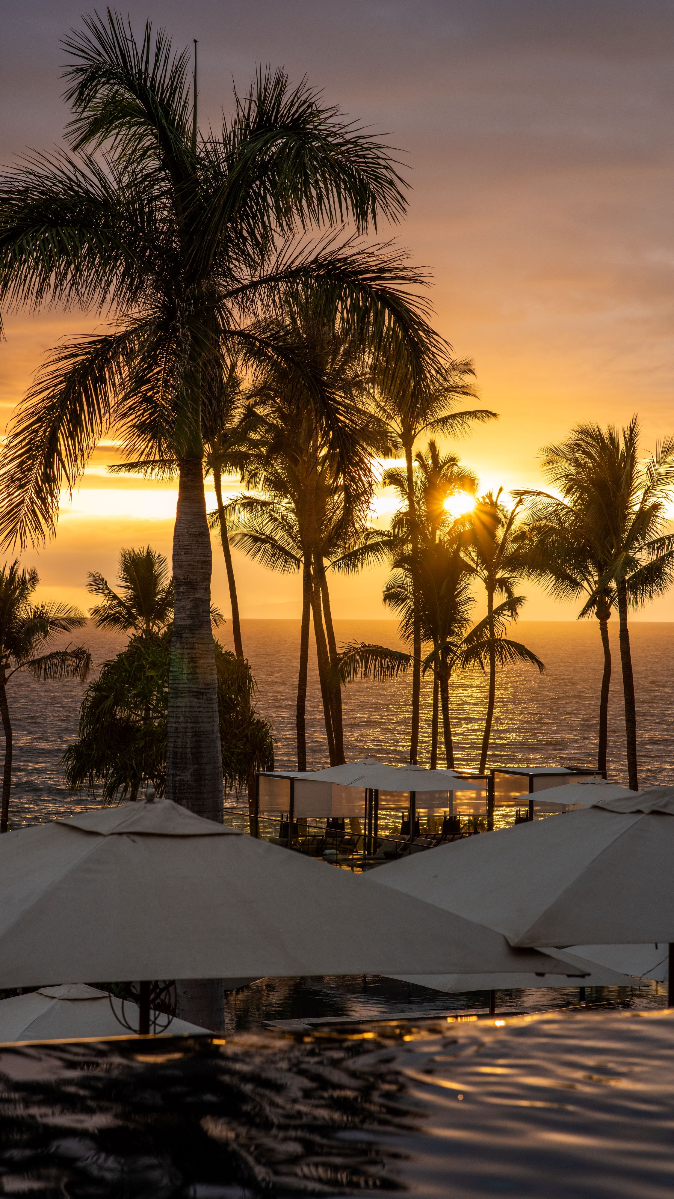 a sunset over ocean with palm trees