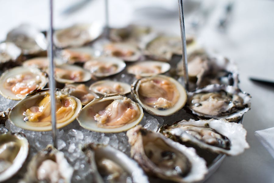 FAMOUS OYSTER HAPPY HOUR Docks Oyster Bar & Seafood Grill New York