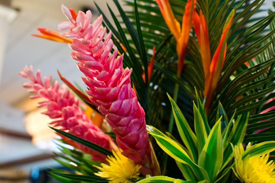 Docks Easter Brunch Docks Oyster Bar & Seafood Grill New York