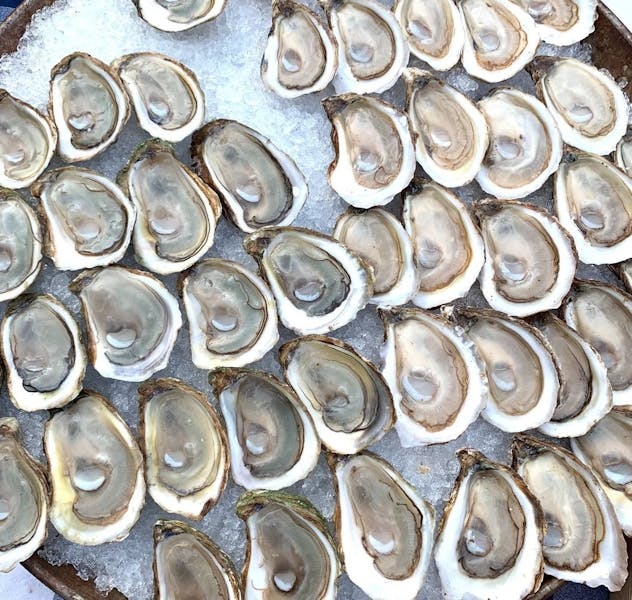 Fall Oyster Festival Docks Oyster Bar & Seafood Grill New York