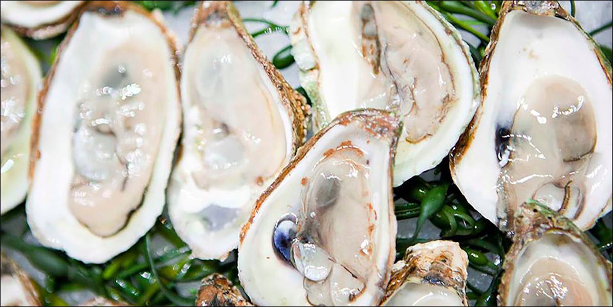 Buck A Shuck Mondays at Crimson & Rye Charlie Palmer